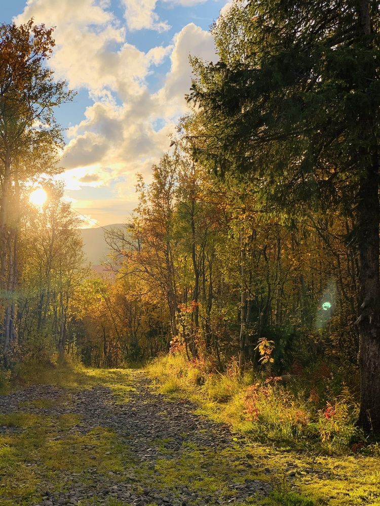 Очень север