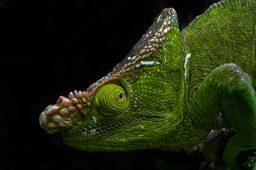 Фотография автора Пётр Чирков