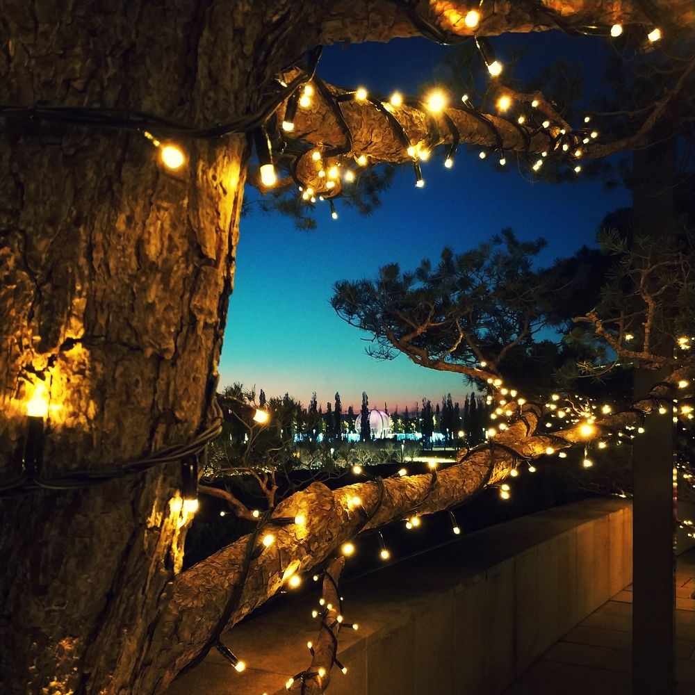 Photograph by Николай Ковальчук