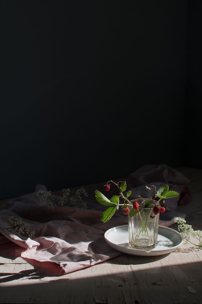 Фотография автора Светлана Бобошина