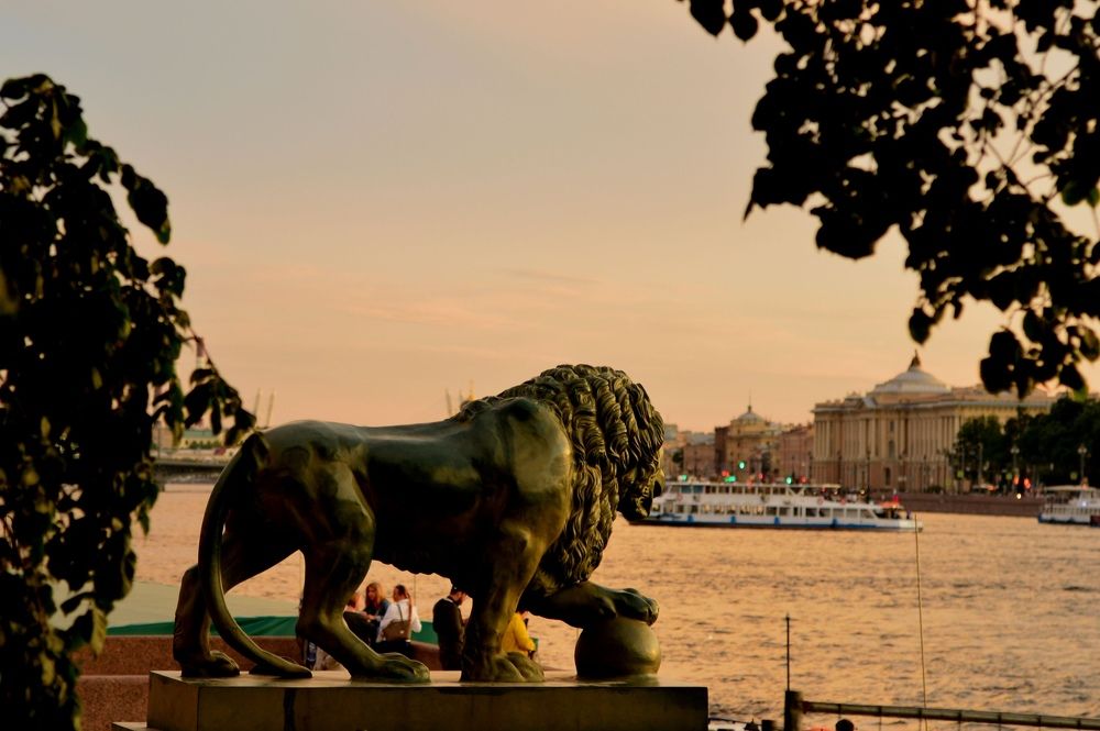 Фотография автора Гаврилова Мария