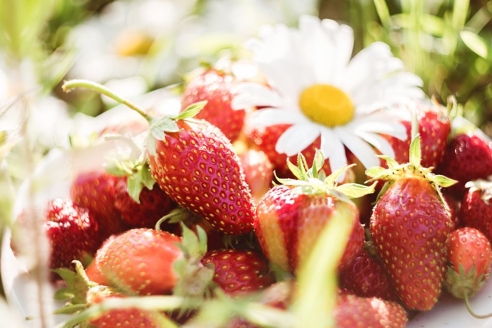 Клубничное лето