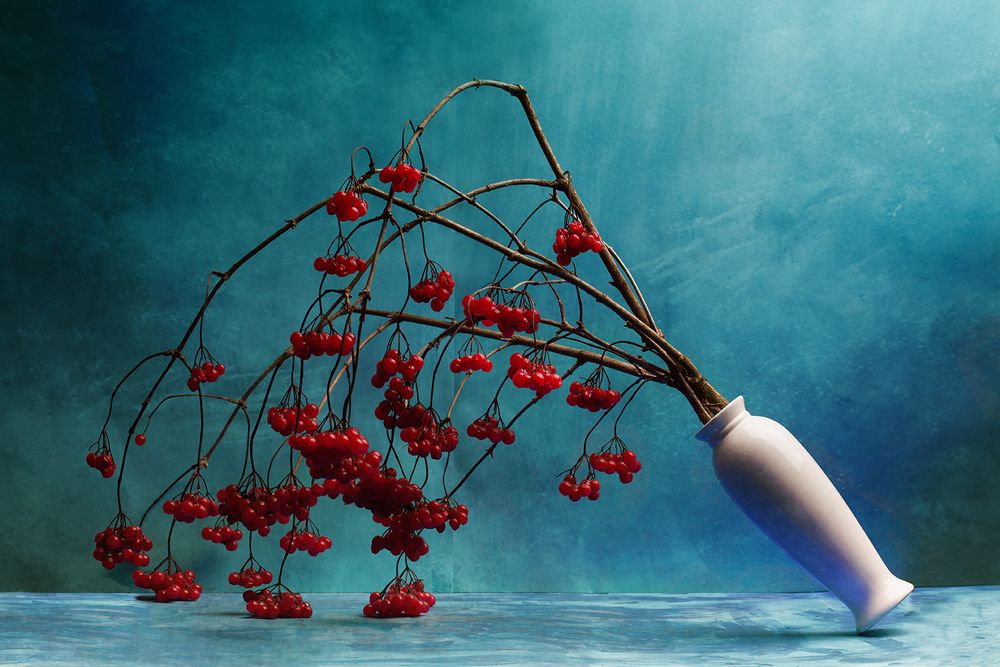 Photograph by Dasha Art