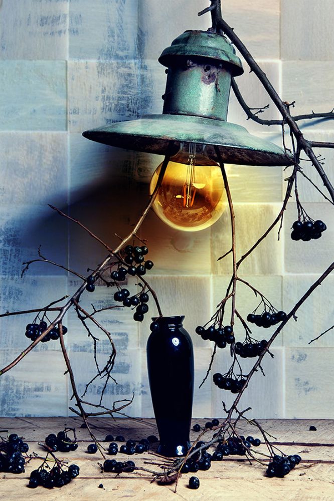 Photograph by Dasha Art