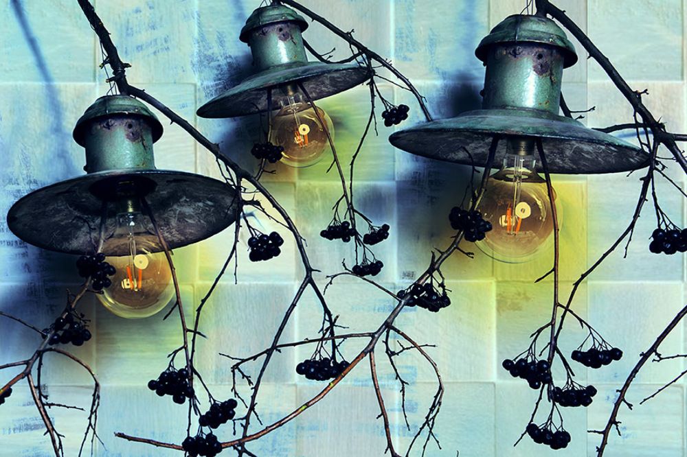 Photograph by Dasha Art