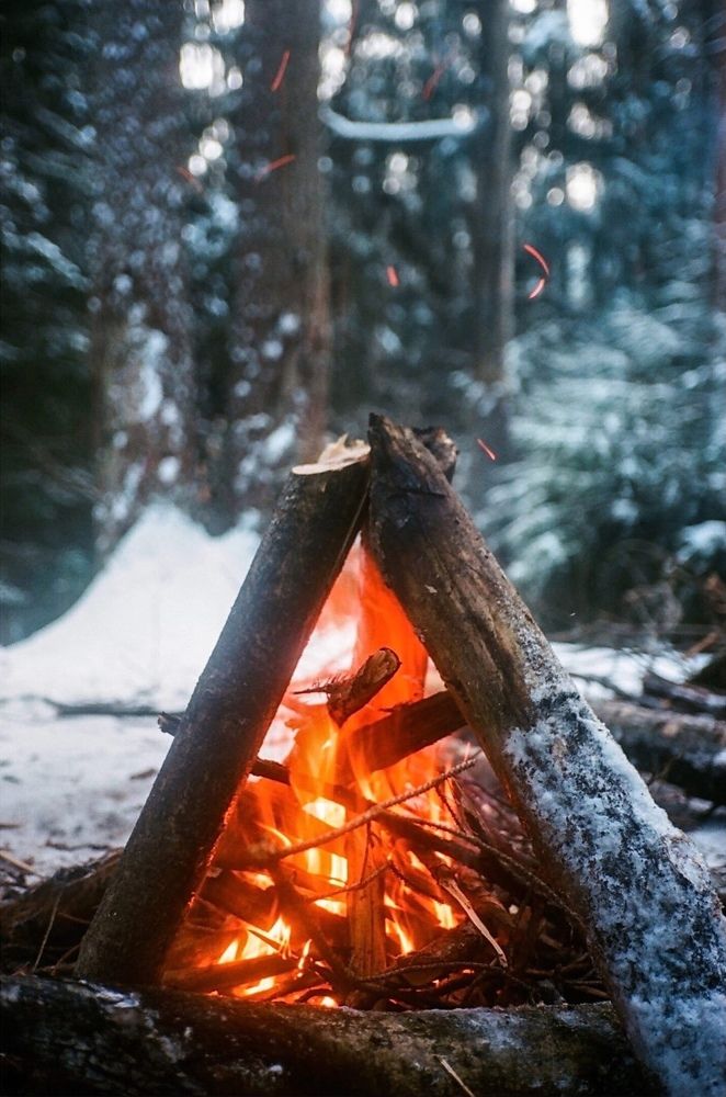 Photograph by Дмитрий Изумрудов