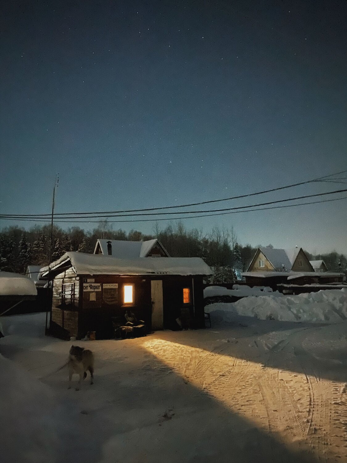 Photo #6348236