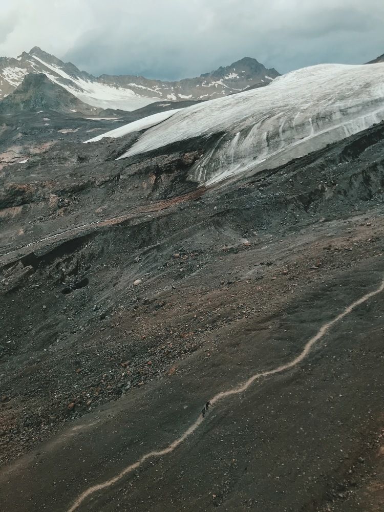 Фотография автора Лиза Шильк