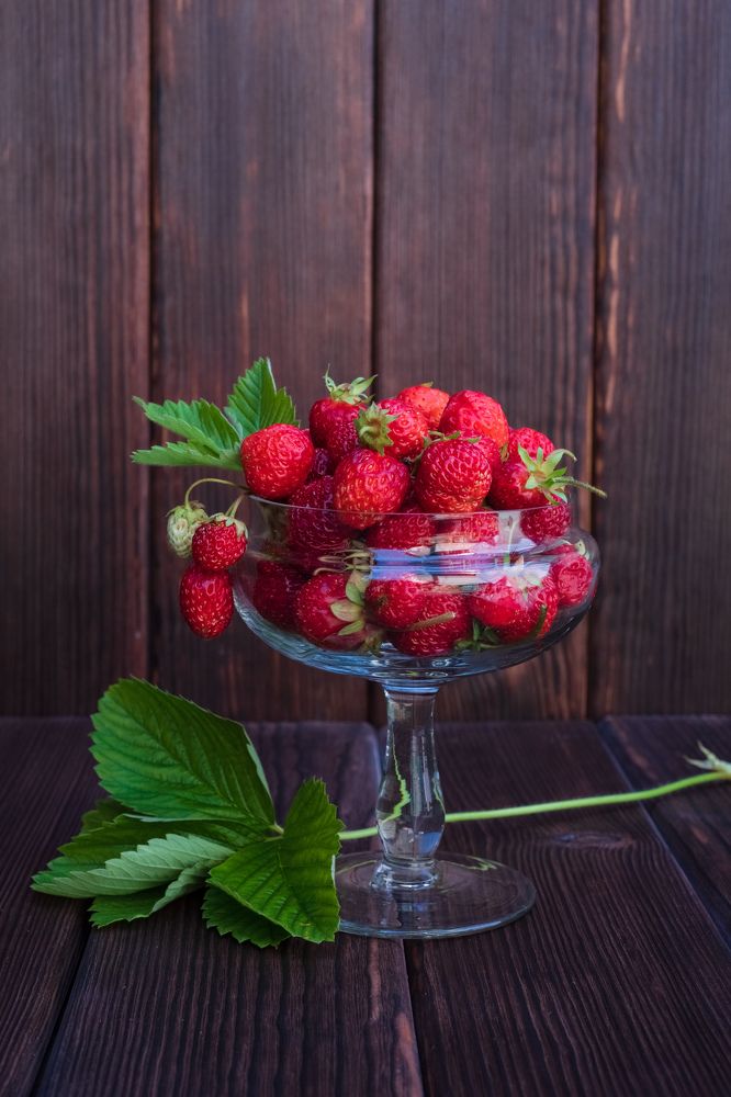 Photograph by Кадырова Анастасия