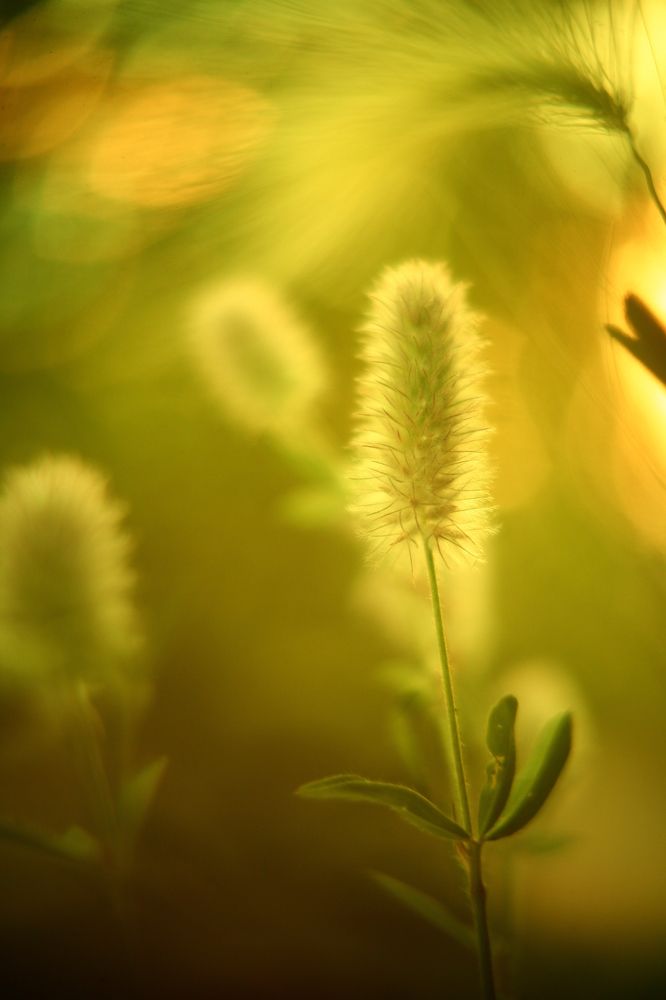 Photograph by Milla Luca