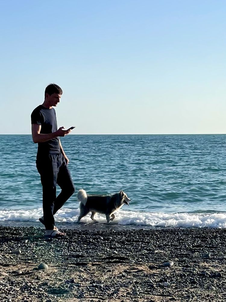 Арчи и море