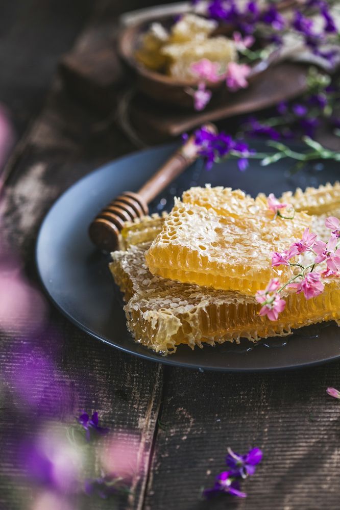 Photograph by Maria Sokor-Bondarenko