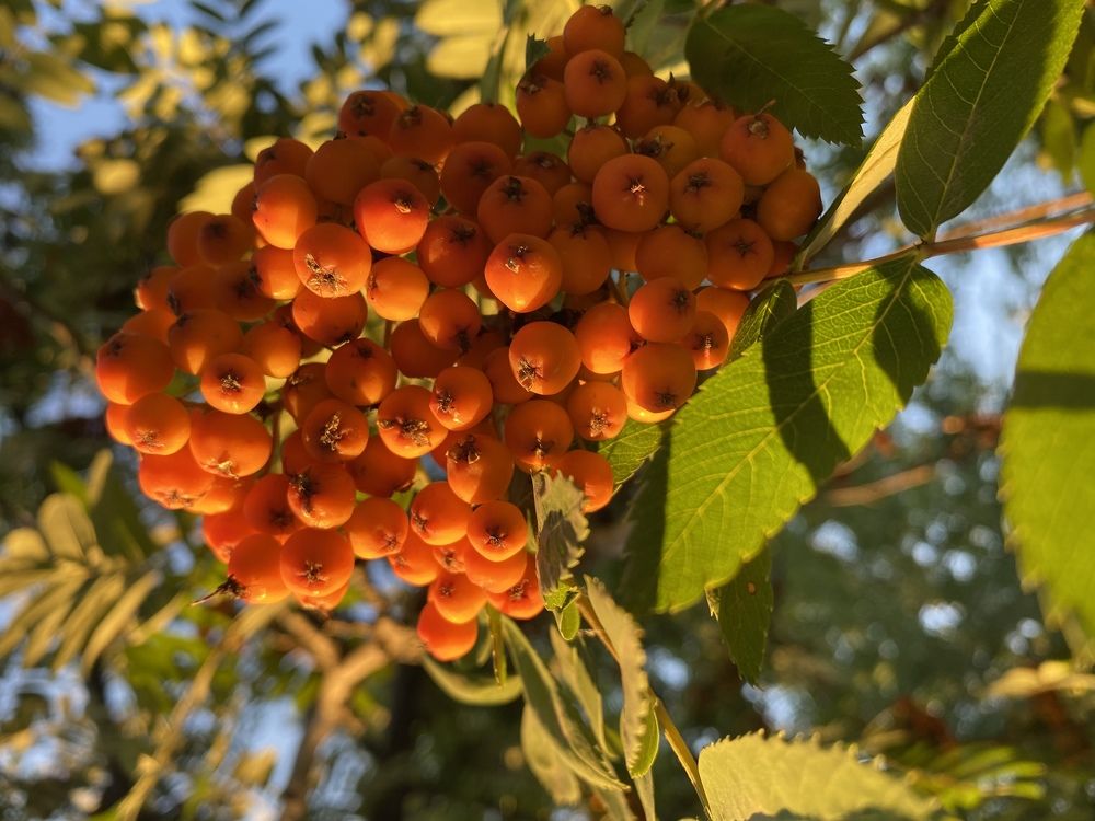 Photograph by Марина Ескова