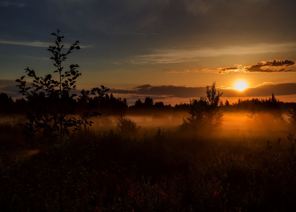 Photograph by Грязев Сергей