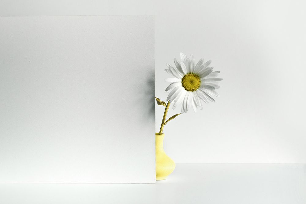 Photograph by MVO (Марк Орлов)