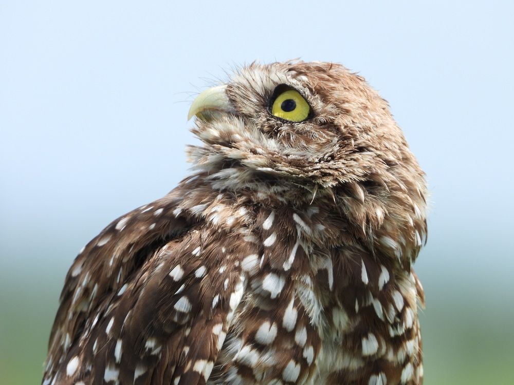 Photograph by Senthil Venugopalan