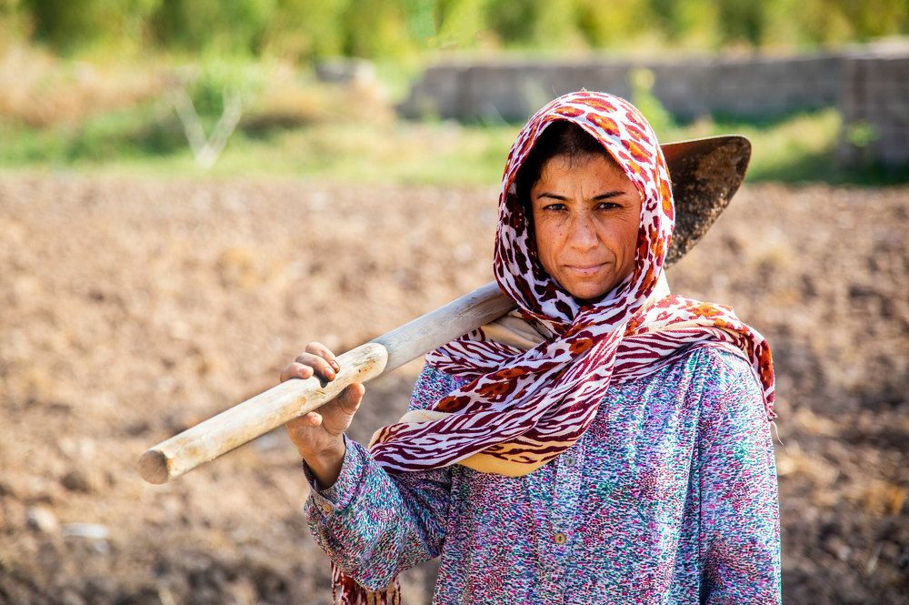 Photograph by Mohammed Ridha