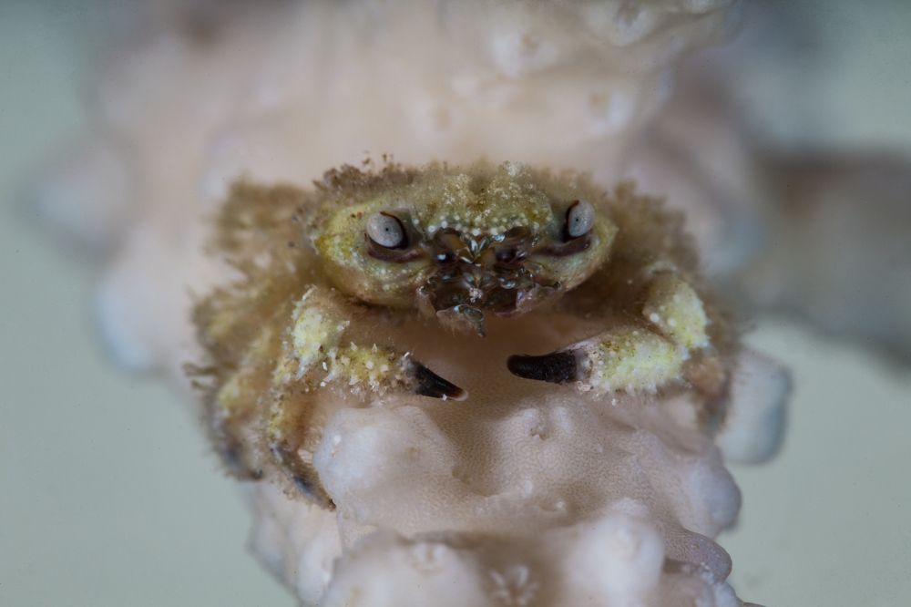 Photograph by Юрий Перевозников