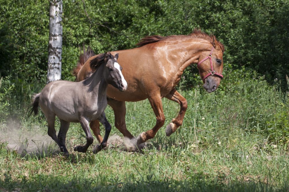 Photograph by Александра Савельева