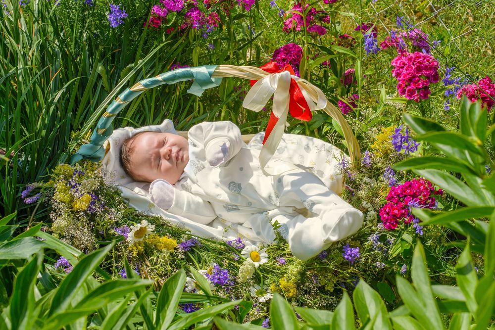 Не в капусте нашли!