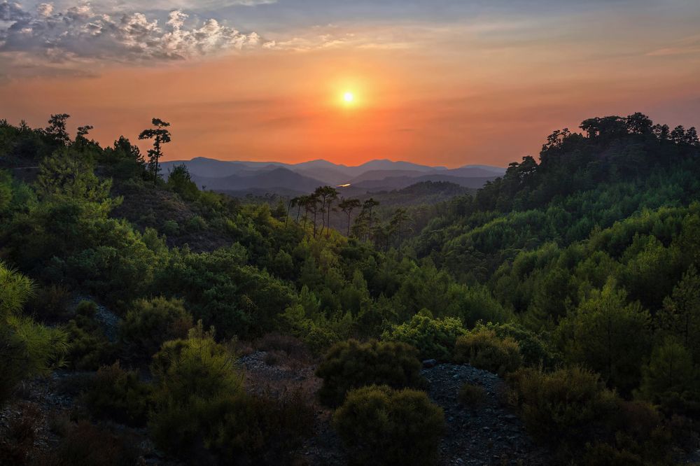 Photograph by Марина Ческис