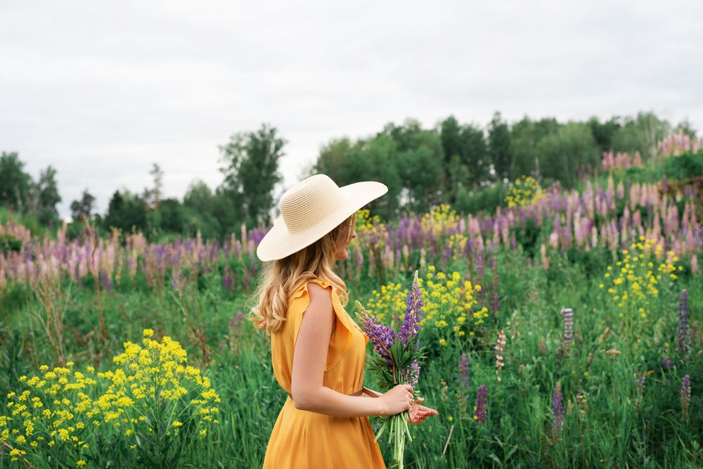 Желто-фиолетовая гармония