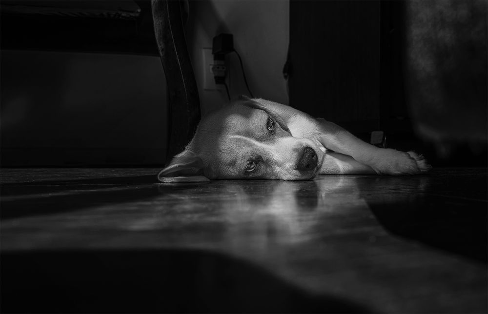 Photograph by Eduardo Machado