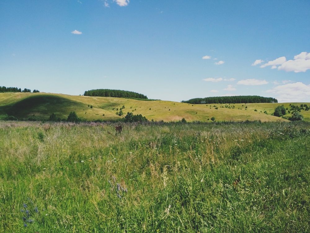 Photograph by Анна Копанева