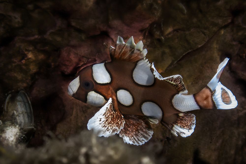 Photograph by Альт Эдуард