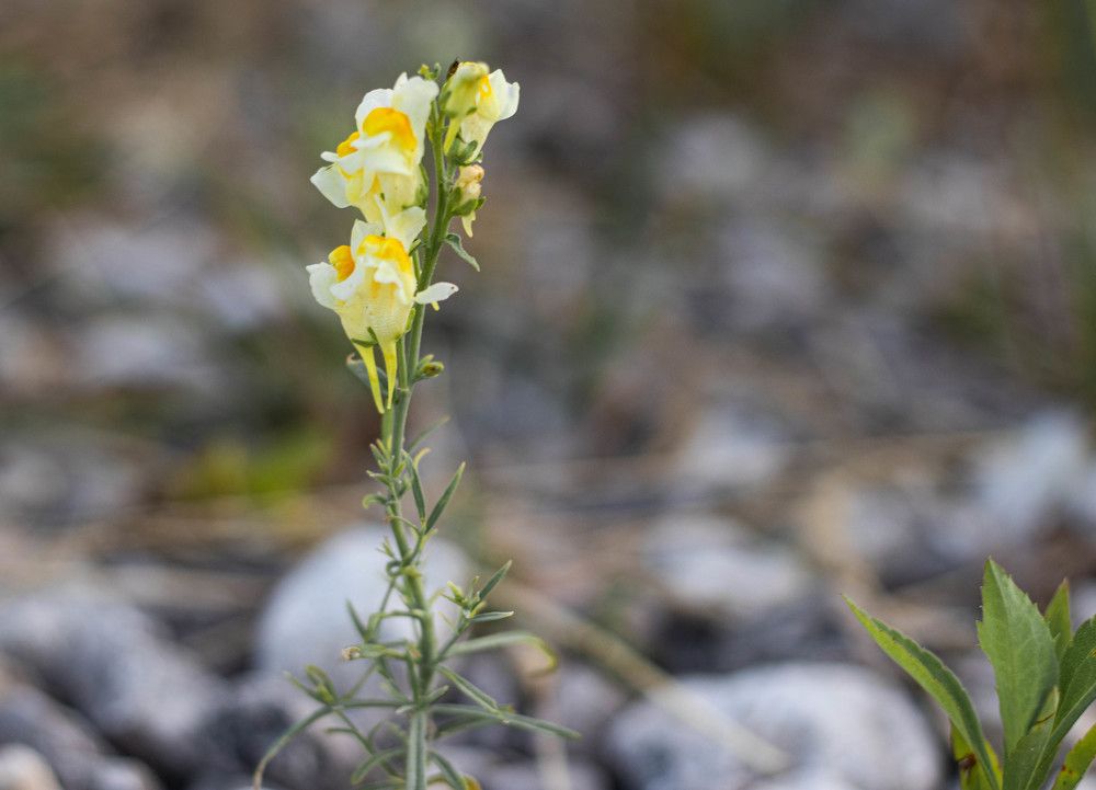 Photograph by Пётр Васильев
