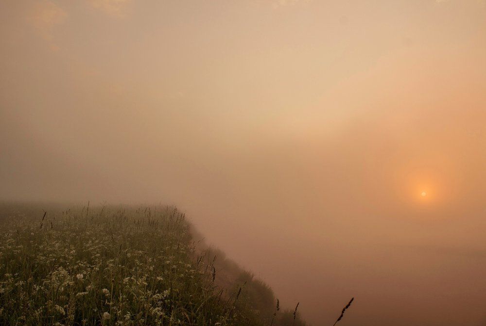 Photograph by Наталия Никитинская