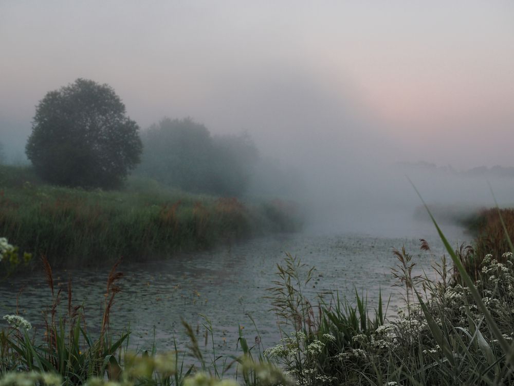 Photograph by Сергей Гаврилов