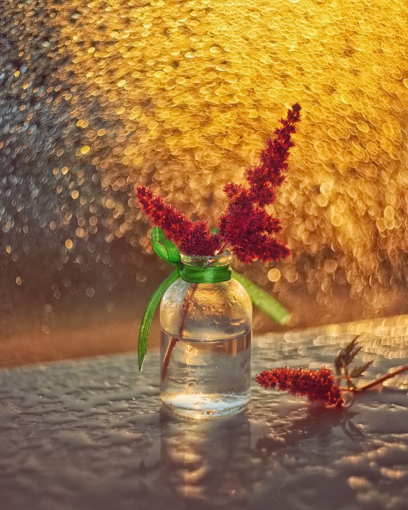 Photograph by Людмила Ефремова