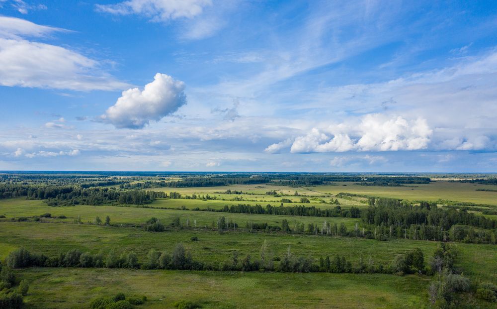 Просторы Тюменской области.