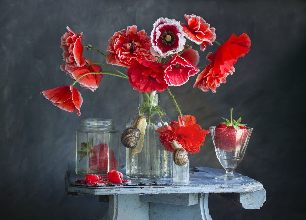 Photograph by Лионелла Зимина