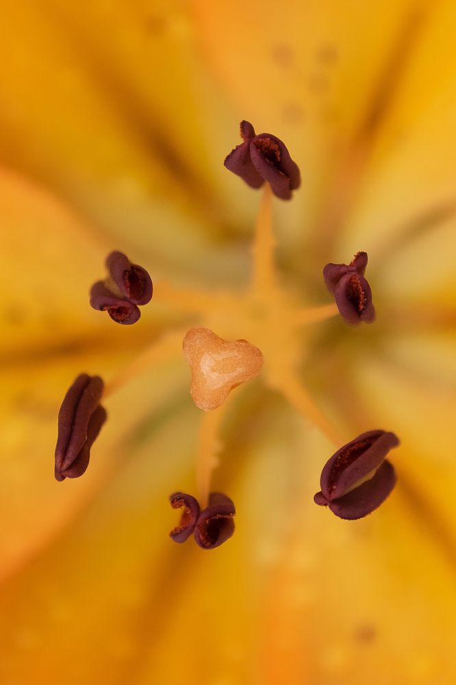 Photograph by Кадырова Анастасия