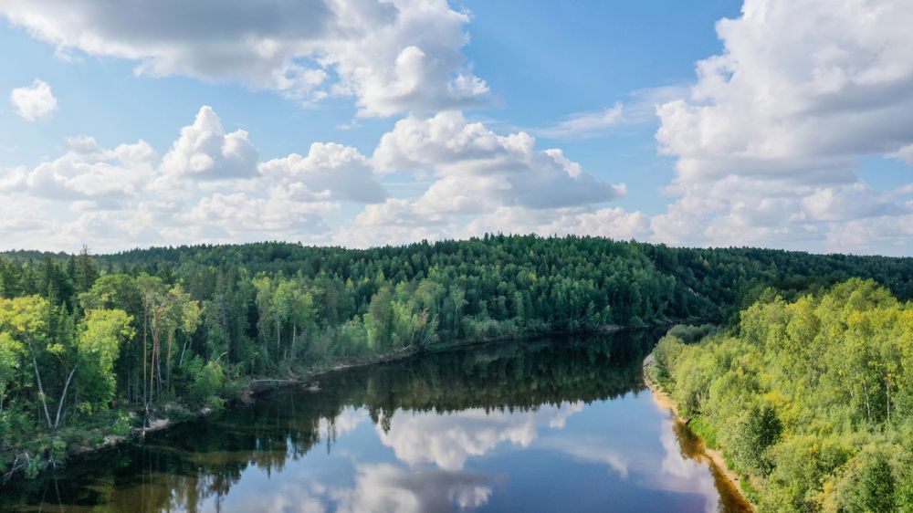 Река Лямин.