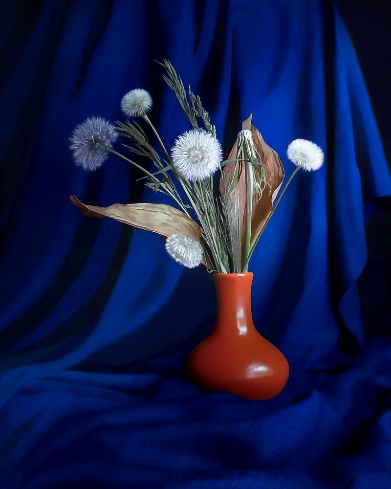 Одуванчики белоснежные