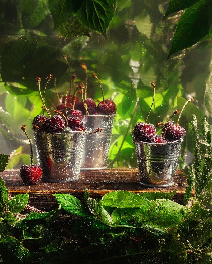 Photograph by Eugeniu Novac