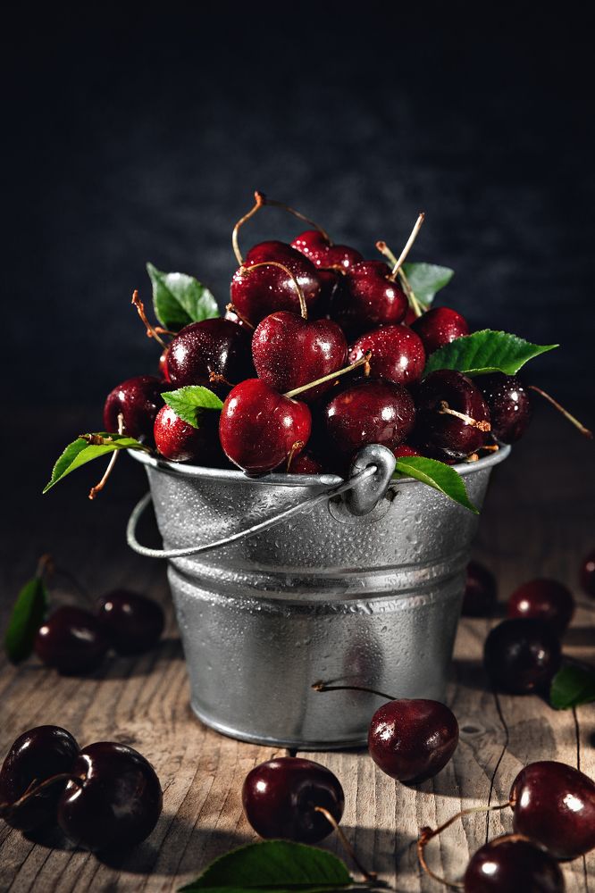 Photograph by Anastasia Steiner