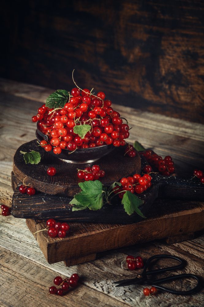 Photograph by Anastasia Steiner