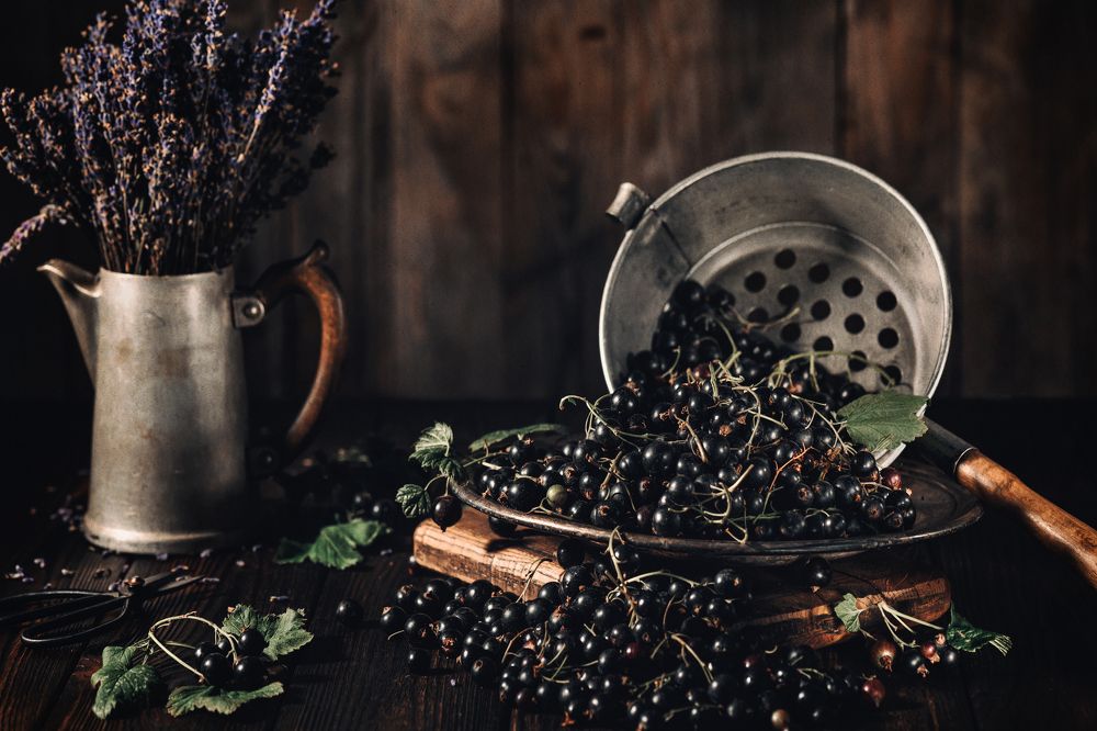 Blackcurrant and Lavender