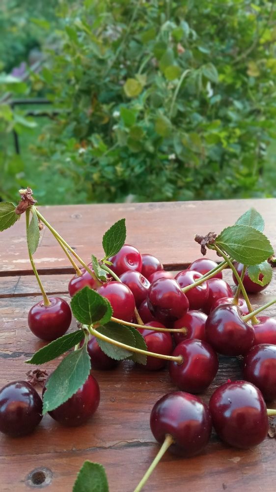 Photograph by Дмитрий Кашиков