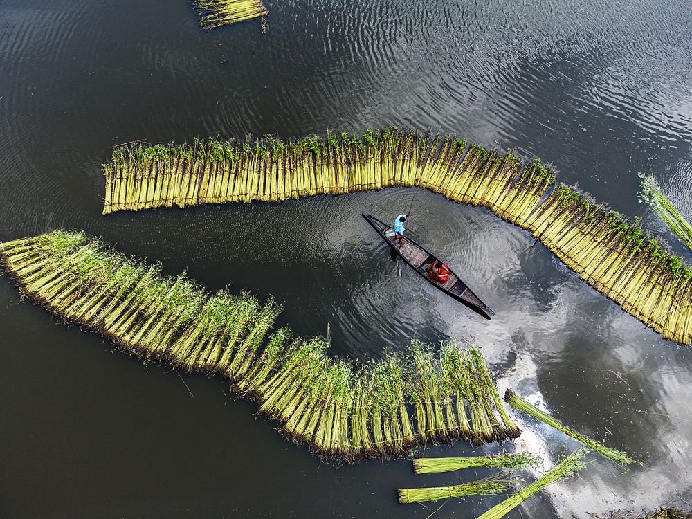 Photograph by Dhrubajyoti Bhattacharjee