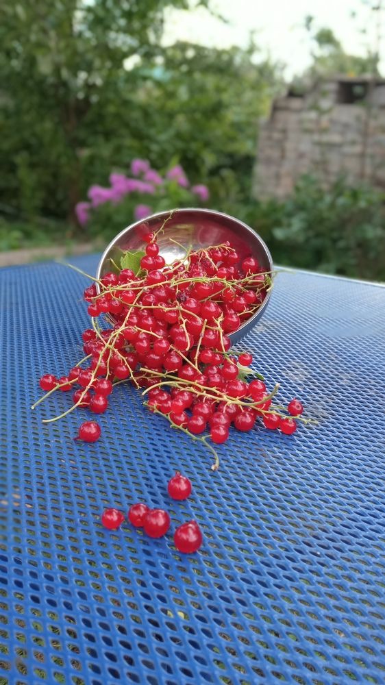 Photograph by Дмитрий Кашиков