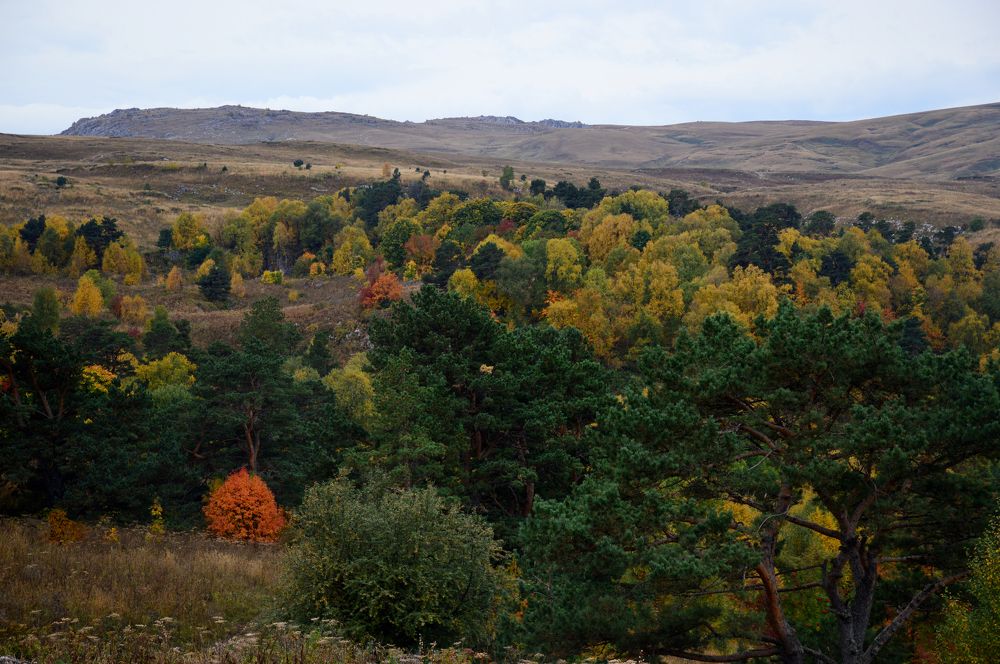 Осень в горах