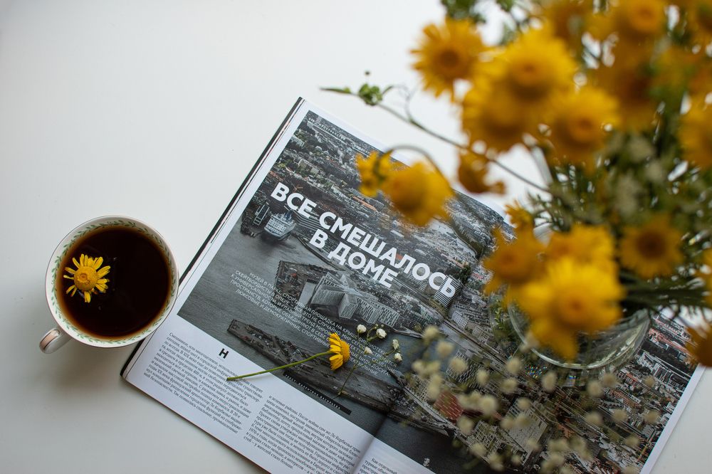 Все смешалось в доме