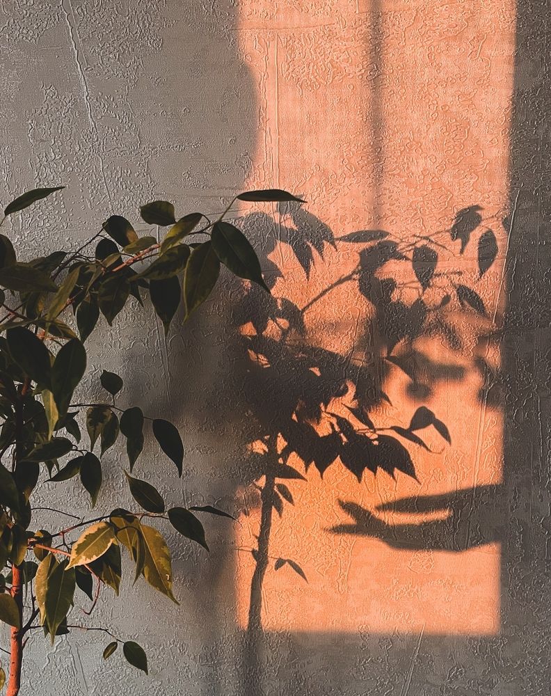Photograph by Анна Окрачкова