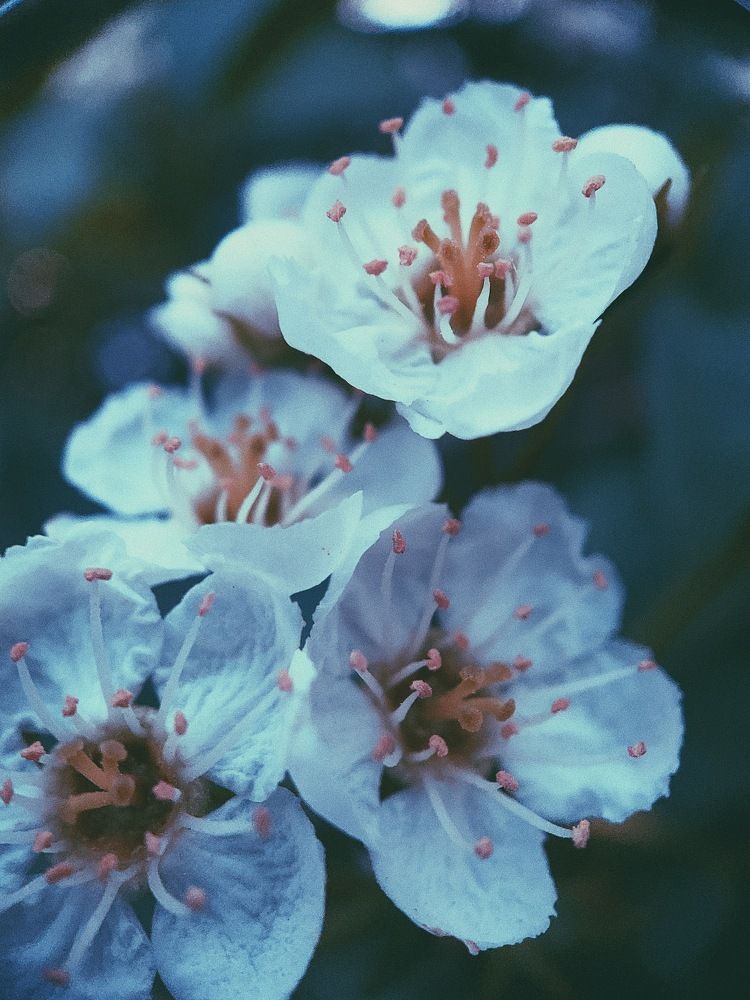 Photograph by Никита Утехин