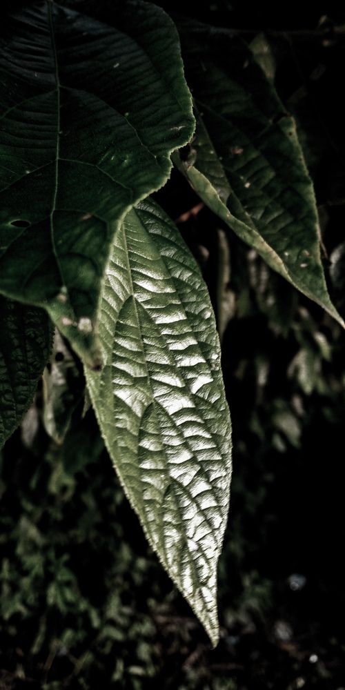Photo #6349618